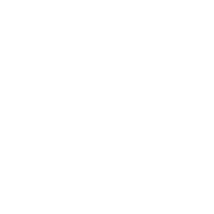 Denissen Advocaat